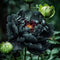 Peony