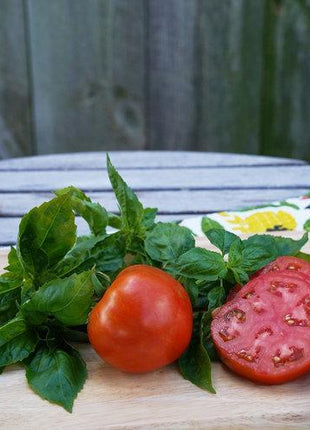 Garden Treasure Tomatoes