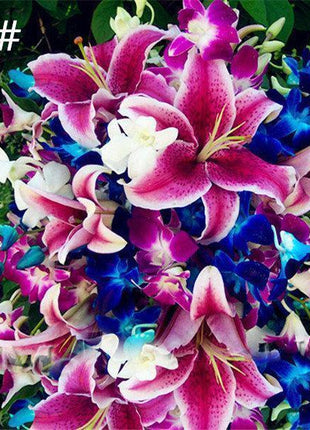 100 PCS Perfume Liliy Seeds Cheap Perfume Lilies Seeds Rare Color Flower Garden Plant