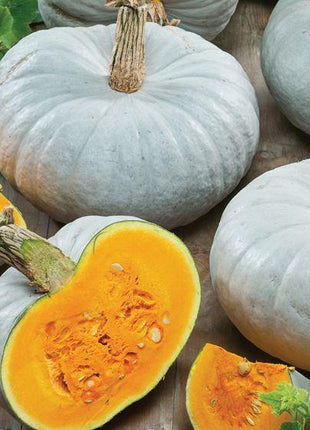 Blue Pumpkin Seeds