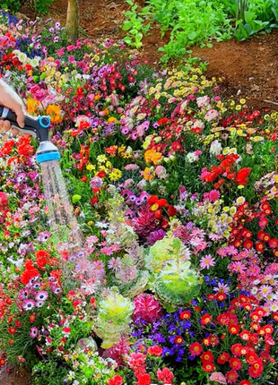 Mixed Perennial Flowers Seeds-Over 80 kinds mixed