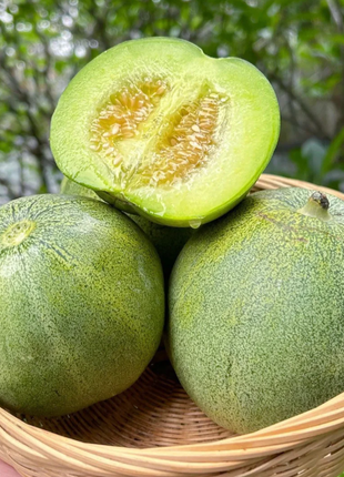 🍈Emerald No. 2 Sweet Melon