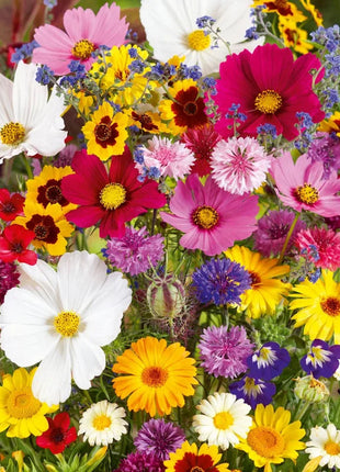 💐Multiple Flower Seeds