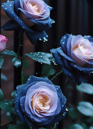 🌹Rose-Fall in Love