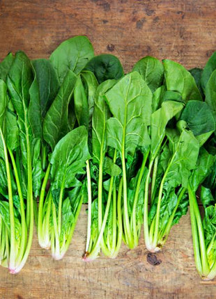 Spinach Regiment F1 Organic