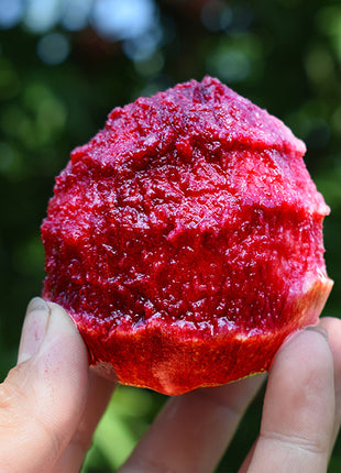Blood Peach Seeds