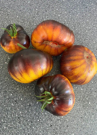Lucid Gem Tomato Seeds Organic, Heirloom Tomatoes