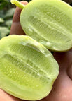 Jade Girl / 100 Seeds