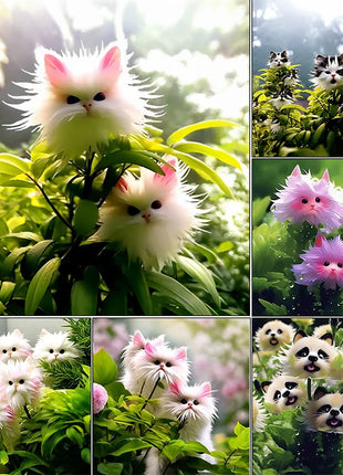 🔥Amazing Plants! 🌈🐱Cat's Eye Dazzle Flower