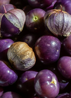 Purple / 300 Seeds