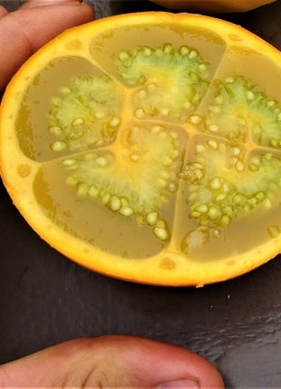 Lulo Seeds