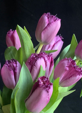 Frill Tulip seeds