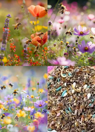 Perennial Flowers Seeds-Over 60 kinds mixed