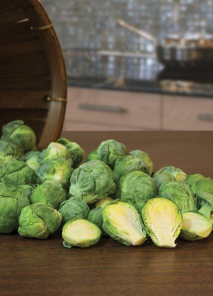 Brussels Sprouts Marte F1