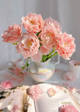 Bonsai Rare Color Tulip Seeds