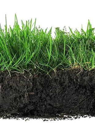 Soil Revitalizer 8.5 oz – Fast-Acting Formula to Restore Nutrients and Boost Plant Growth