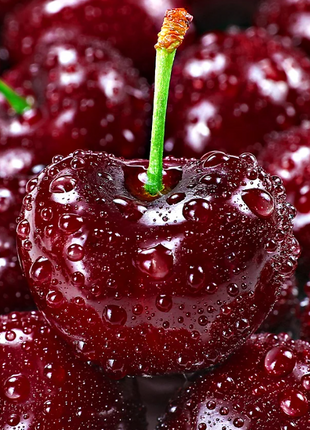 Cherry Seeds