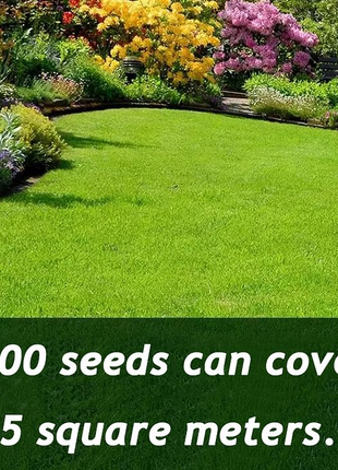 🌱 Evergreen dwarf grass seed for four seasons | Create your perfect lawn here