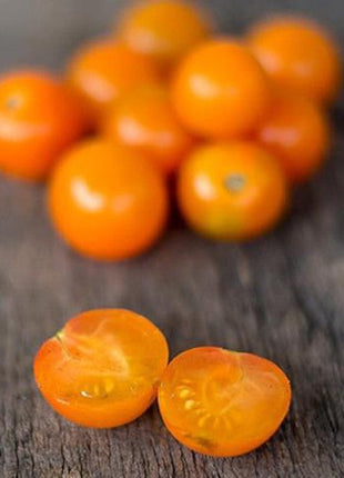 Sungold Tomato (F1 hybrid 60 days)