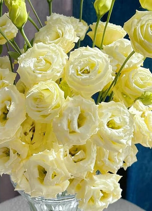 🌺Lisianthus – Sincere Love