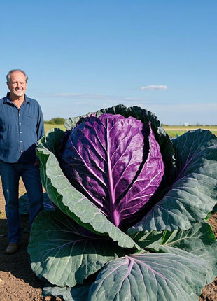 Giant Organic Crop Seeds