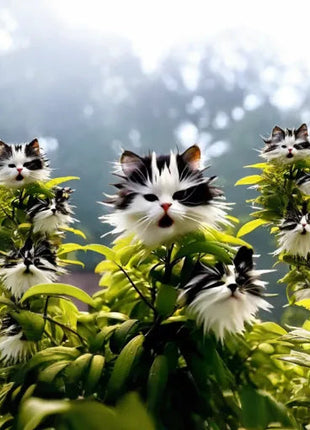 Amazing plants! Cat's eye dazzle Series