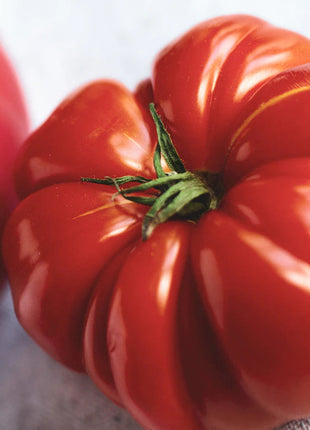 Giant Delicious Tomato / Up to 2kg (20 Seeds a Pack)