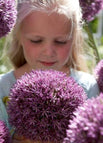 Light purple