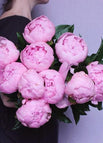 A SET(PINK+RED)