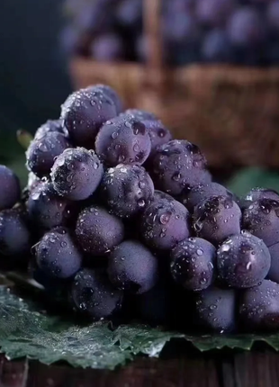 Kyoho Grape Seeds