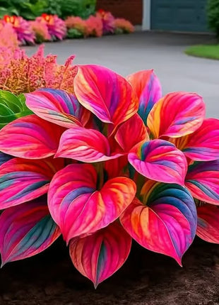 🔥Premium Rare Hosta Seeds🌿Shade-Tolerant Plant