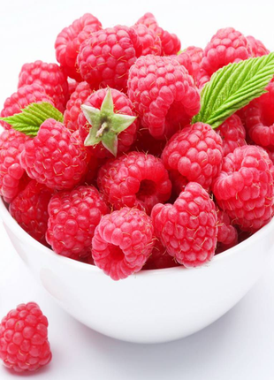 Everbearing Raspberry Organic Natural Seeds