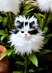 🐱Black White / 100 seeds