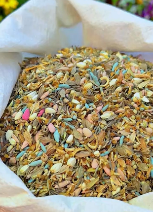 Mixed Perennial Flowers Seeds-Over 60 kinds mixed