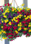 Mixed color / 50pcs