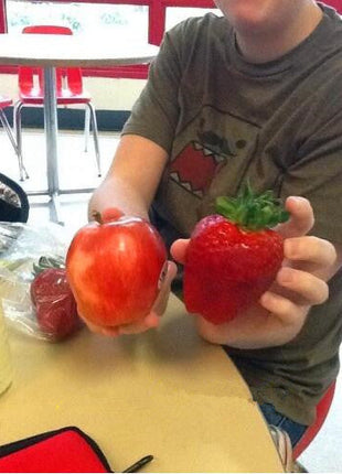 🍓Super Giant Strawberry Seeds