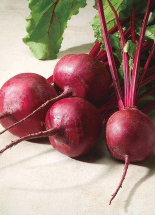 Beet Eagle F1