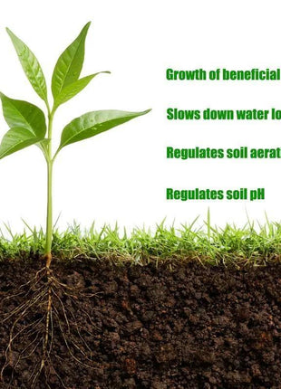 Soil Revitalizer 8.5 oz – Fast-Acting Formula to Restore Nutrients and Boost Plant Growth