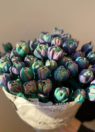 Tulipany Double Bubble
