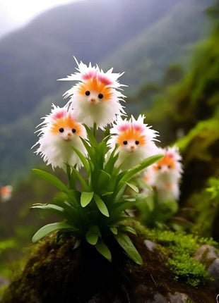 Amazing plants! Cat's eye dazzle