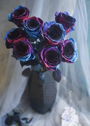 Starry Sky Roses
