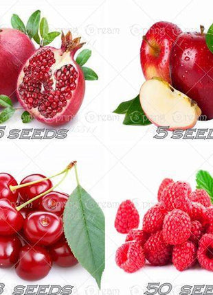 Four Fresh Red Fruit MIxed Seeds