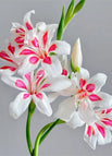Whiie / Three Bulbs
