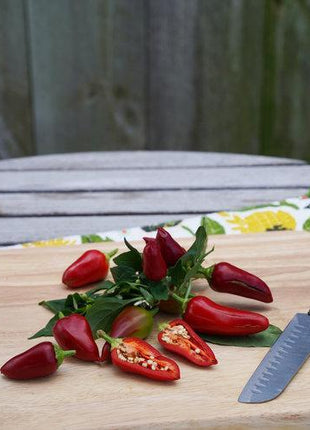 Hot Pepper