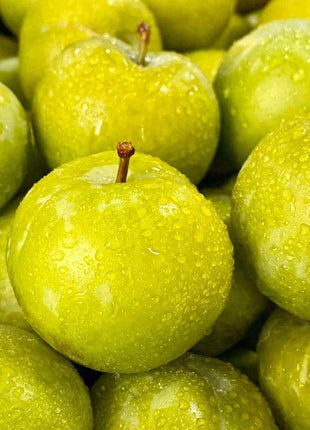 Yellow Plum Seeds Sugar Plum