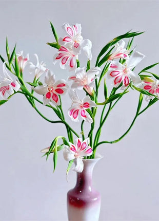 Cat's Claw Gladiolus 🩷 pink and cute