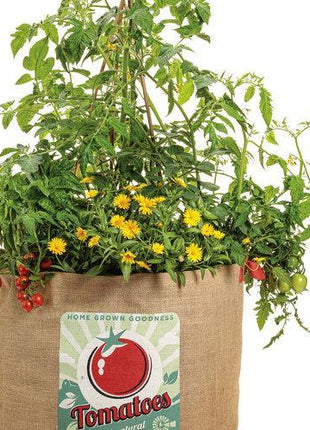 Garden Treasure Tomatoes