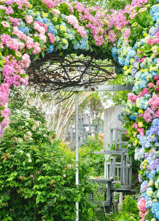 💐Endless Summer Hydrangea Falls