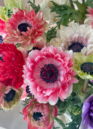 🌸Double Anemone Seeds