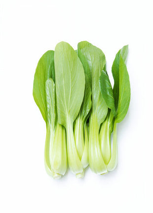 All year round 200pcs Chinese cabbage seeds